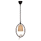 Подвесной светильник Loft IT Birds Loft1029A-1