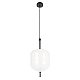 Подвесной светодиодный светильник Loft IT Venice 10223/D White