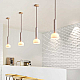Подвесной светильник Imperium Loft Berent 232332-23