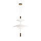 Подвесной светильник Loft IT Skylar 10244/C Brass