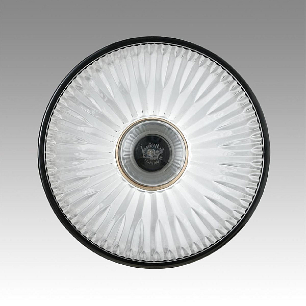 Светильник подвесной Lumion Suspentioni 8053/1A