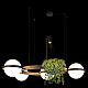 Подвесной светодиодный светильник Loft IT Jardin 10121/4 Dark grey