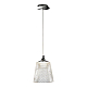 Подвесной светодиодный светильник iLedex Flora WD8007-1 CR