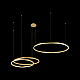 Подвесной светодиодный светильник Loft IT Ring 10017/3S