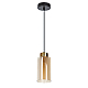 Подвесной светильник Arte Lamp Leo A7027SP-1BK