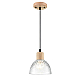 Светильник подвесной Lumion Suspentioni 8055/1A