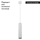 Подвесной светильник Arte Lamp Lira A5600SP-1WH