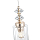 Подвесной светильник ST Luce Elegra SL1402.203.01