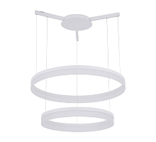 Подвесной светодиодный светильник Arte Lamp A2504SP-2WH