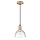 Светильник подвесной Lumion Suspentioni 8055/1A