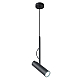 Подвесной светильник Crystal Lux CLT 060C1 BL