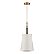 Подвесной светильник Odeon Light HOMI 5040/1A
