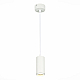 Подвесной светодиодный светильник ST Luce Zoom ST600.543.10