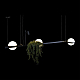 Подвесной светильник LOFT IT Jardin 10121/C