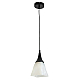 Подвесной светильник Toplight Jillian TL4410D-01BL