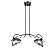 Подвесной светильник Vele Luce Musicista VL5462P22