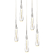 Подвесной светильник Delight Collection DD20591-5 chrome