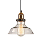 Подвесной светильник Lussole Loft IX LSP-9606