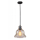 Подвесной светильник Arte Lamp Amiata A4255SP-1AM