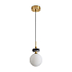 Подвесной светильник Freya Modern Cave FR5631PL-01BS1