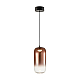 Подвесной светодиодный светильник Freya Idol FR6134PL-L4C