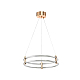 Подвесной светильник Zortes RINGER ZRS.57792.96