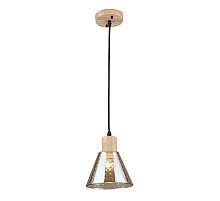 Подвесной светильник Arte Lamp Lancaster A5891SP-1BK