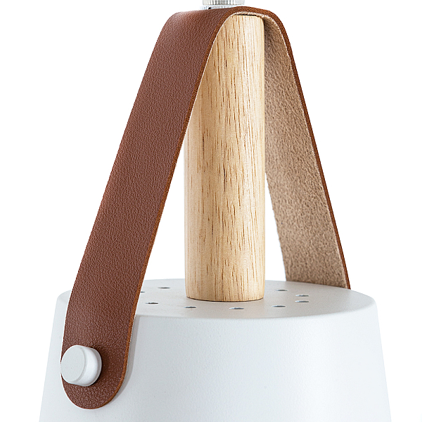 Подвесной светильник Arte Lamp THOMAS A7032SP-1WH