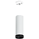Подвесной светильник Lightstar Rullo RP4863437 (214486+590056+203437)