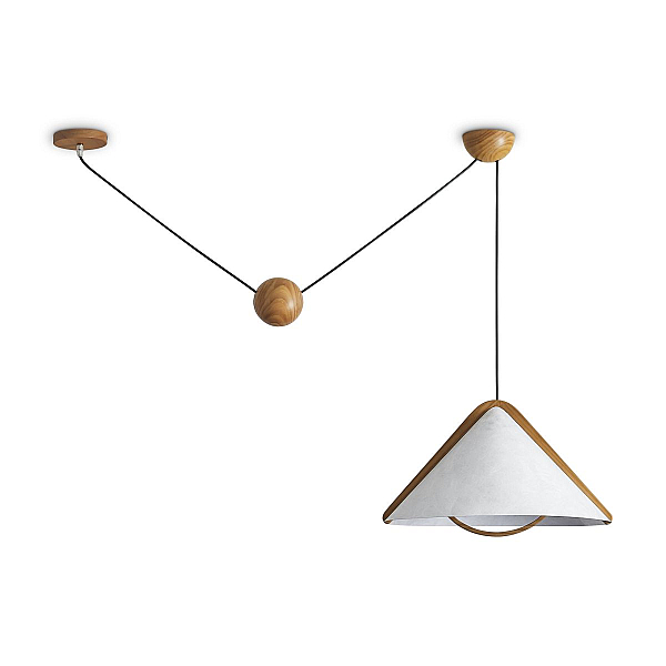 Потолочный светильник Freya Modern FR5554CL-01T