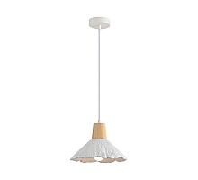 Подвесной светильник Lumion Suspentioni Eoliana 8352/1A