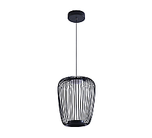 Подвесной светильник Arte Lamp Flare A3528SP-12BK