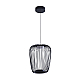 Подвесной светильник Arte Lamp Flare A3528SP-12BK