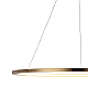 Подвесной светодиодный светильник Loft IT Ring 10014XL