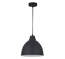 Подвесной светильник Arte Lamp Casato A2055SP-1BK