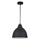 Подвесной светильник Arte Lamp Casato A2055SP-1BK