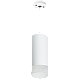 Подвесной светильник Lightstar Rullo RP648681 (216486+590086+202481)