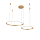 Подвесной светильник Zortes RINGOLIGHT ZRS.33320.63F