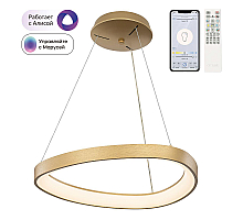 Подвесная люстра Citilux Genka Smart CL756A042