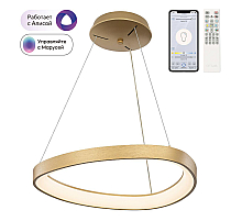 Подвесная люстра Citilux Genka Smart CL756A042