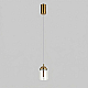 Подвесной светильник Eurosvet Palm 201056/1 LED латунь a072228