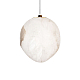 Подвесной светильник Loft IT Fionora 10531D