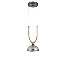 Подвесной светильник Vele Luce Cloe VL5434P01