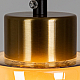 Подвесной светильник Arte Lamp Leo A7027SP-1BK