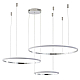 Подвесной светильник Zortes RINGOLIGHT ZRS.33321.120F