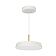 Подвесной светодиодный светильник Arlight SP-Elegant-R300-17W Warm3000 033914(1)
