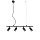 Подвесной светильник Crystal Lux RIVO SP4 L800 BL