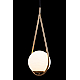 Подвесной светильник Loft IT Glob LOFT2599-A