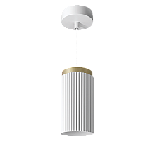 Подвесной светильник WOLTA Muse WSL-GX53/P19WG-2