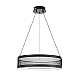 Подвесной светодиодный светильник Lumion Ledio Felisiti 8103/38L